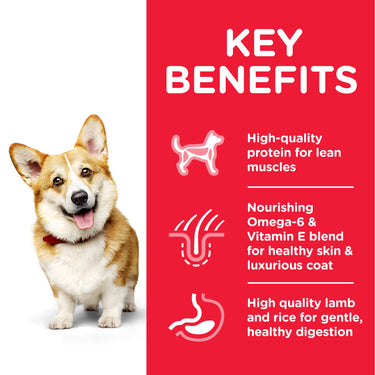 Hill’s Science Plan Small & Mini Adult Dog Food With Chicken (1.5kg)(EXP: 12.25)